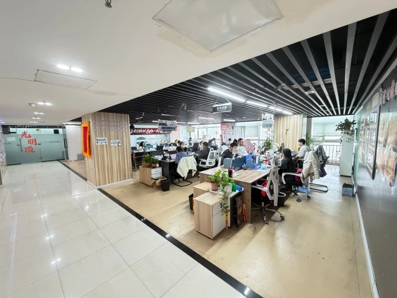 Our Company