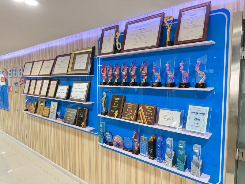 Our Company